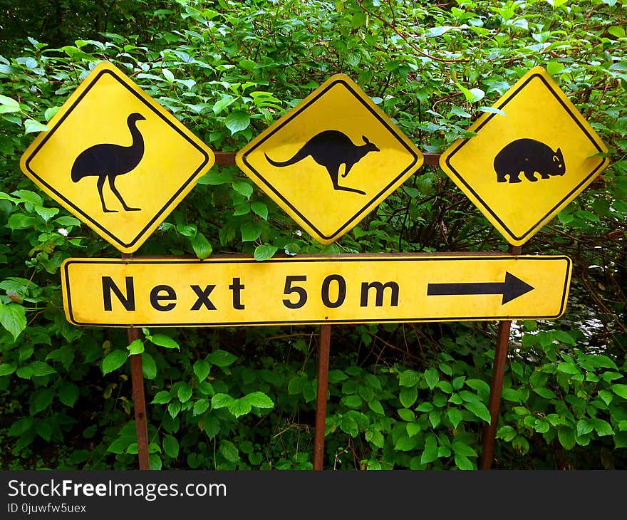 Yellow, Nature, Nature Reserve, Sign