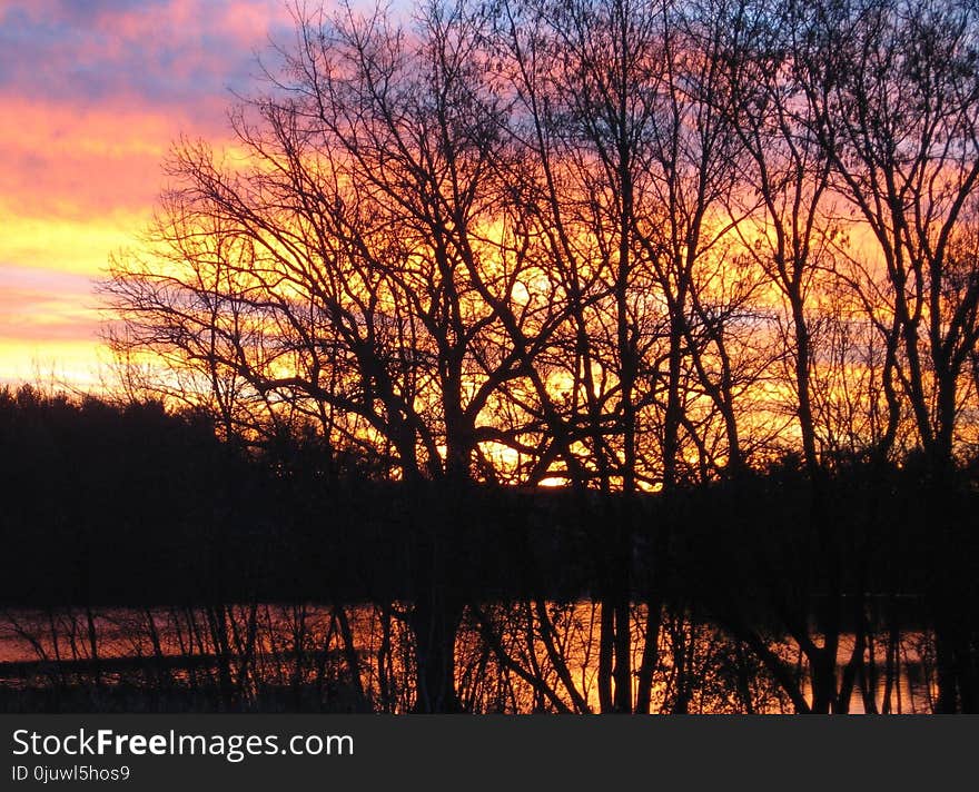 Sky, Nature, Reflection, Tree