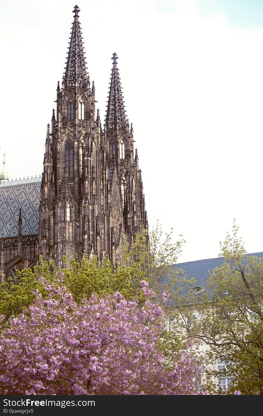 Historic Site, Spire, Medieval Architecture, Flower