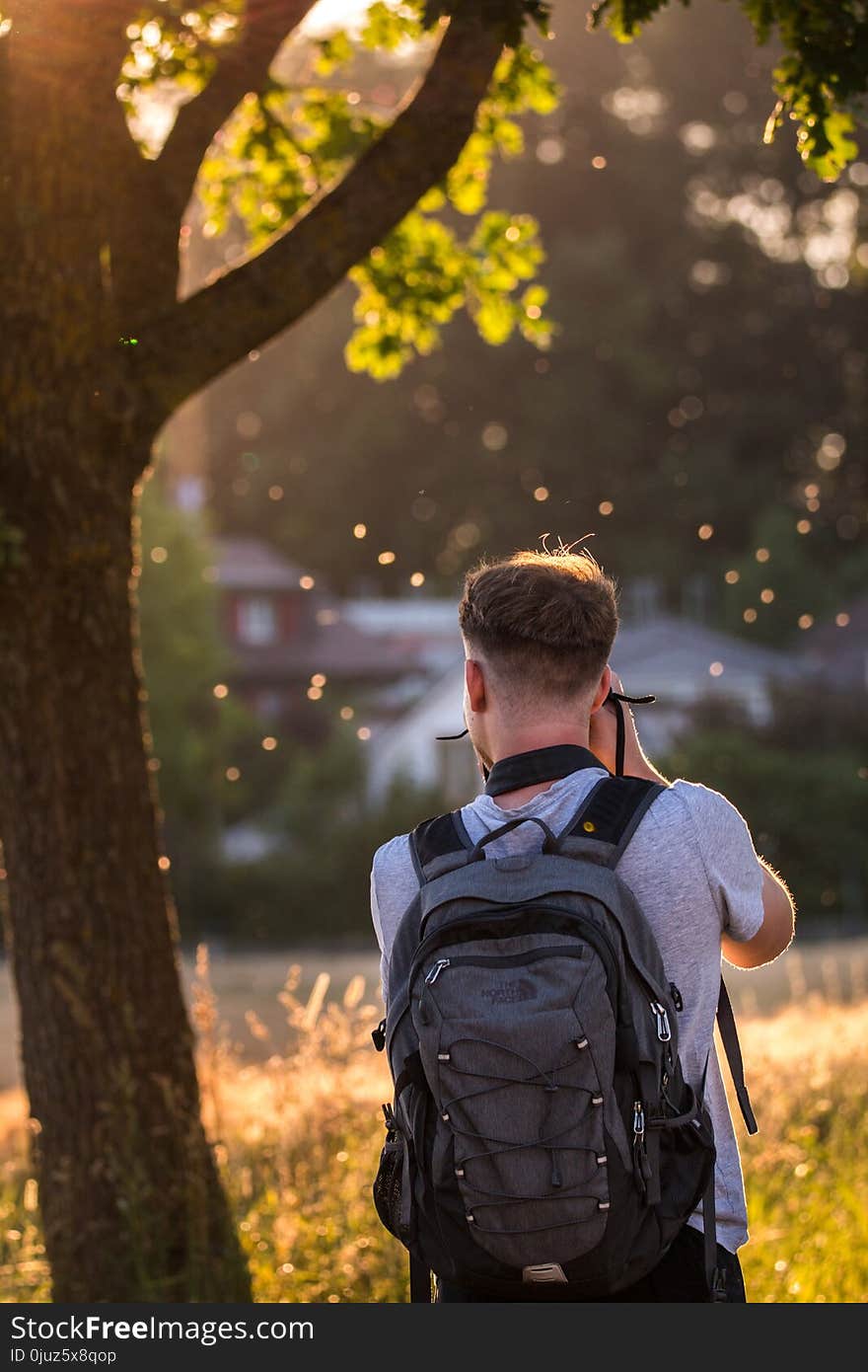 Tree, Nature, Photograph, Man