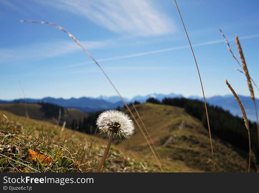 Sky, Ecosystem, Grassland, Grass