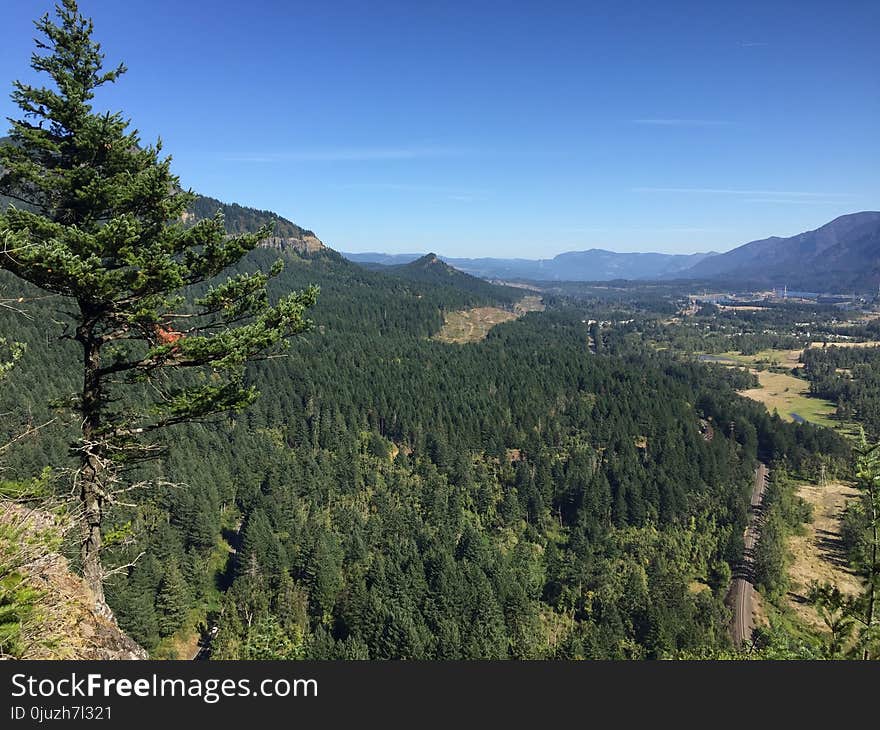 Wilderness, Ecosystem, Vegetation, Mountain