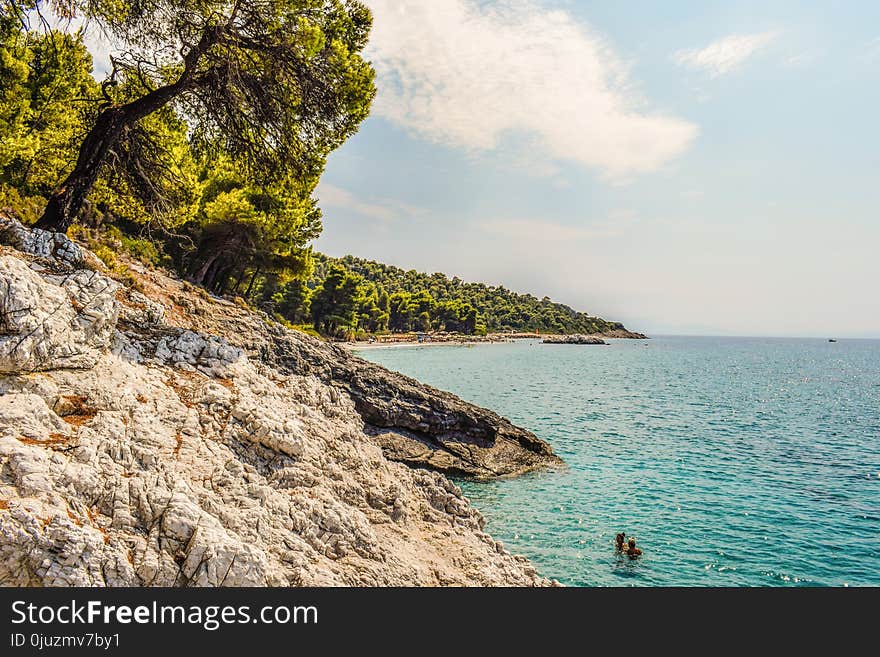 Sea, Coast, Coastal And Oceanic Landforms, Shore