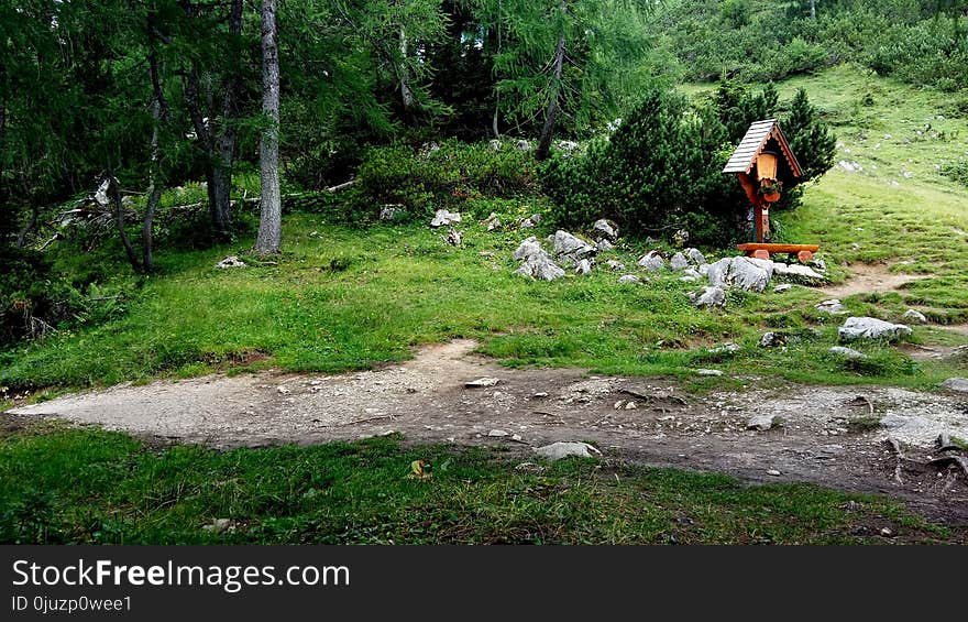 Wilderness, Path, Geological Phenomenon, Tree