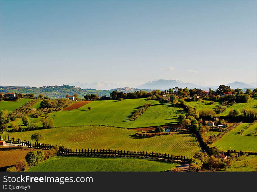 Nature, Field, Sky, Grassland