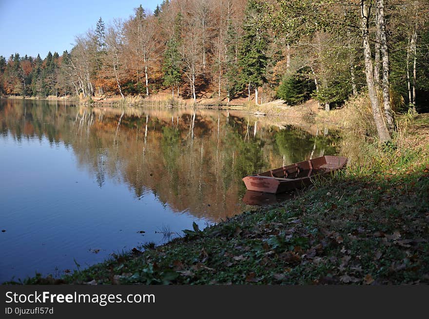 Reflection, Water, Nature, Lake