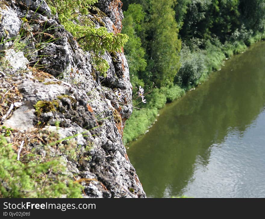 Nature Reserve, Water, Water Resources, Watercourse