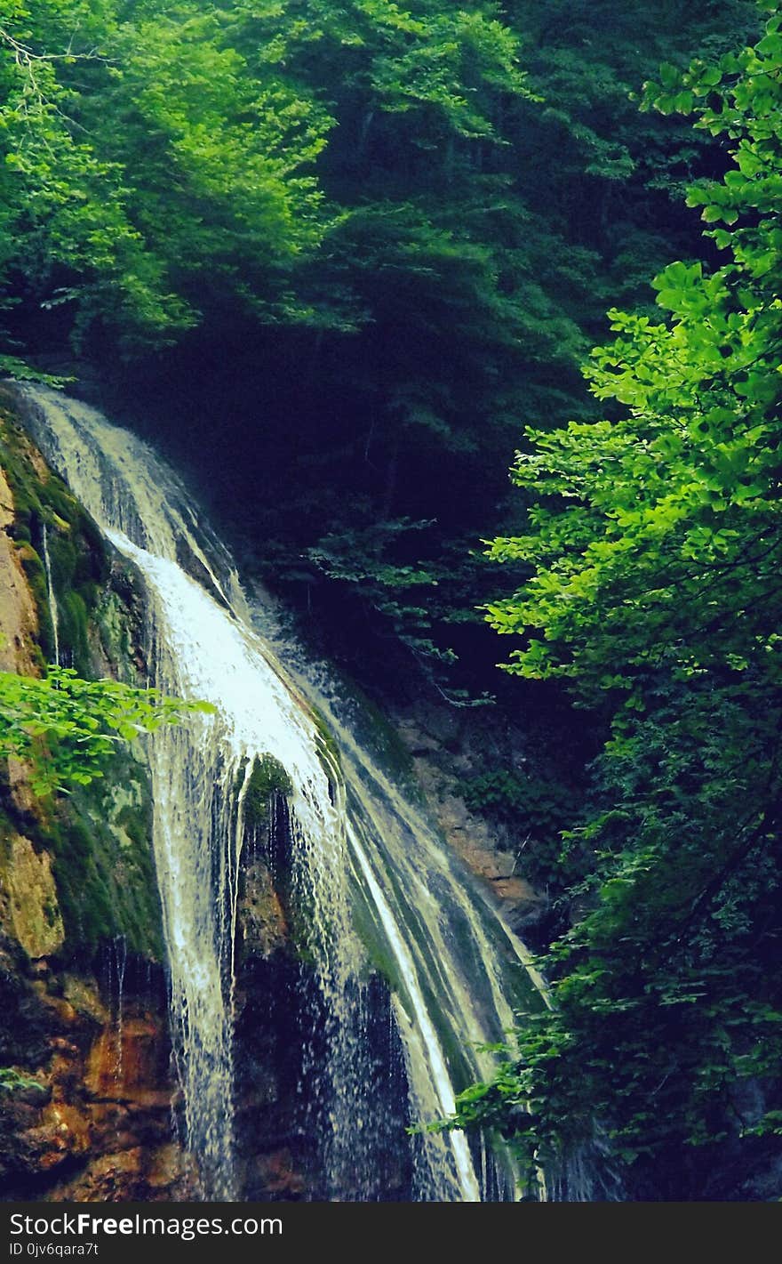 Waterfalls Beside Trees