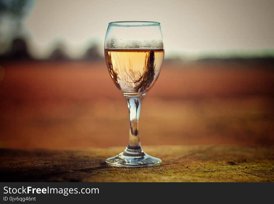 Clear Glass Wine Cup