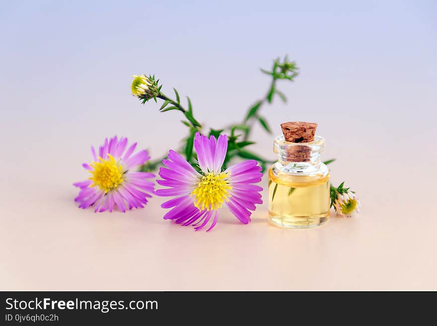 Purple Petal Flowers With Clear Glass Bottle With Cork in White Background