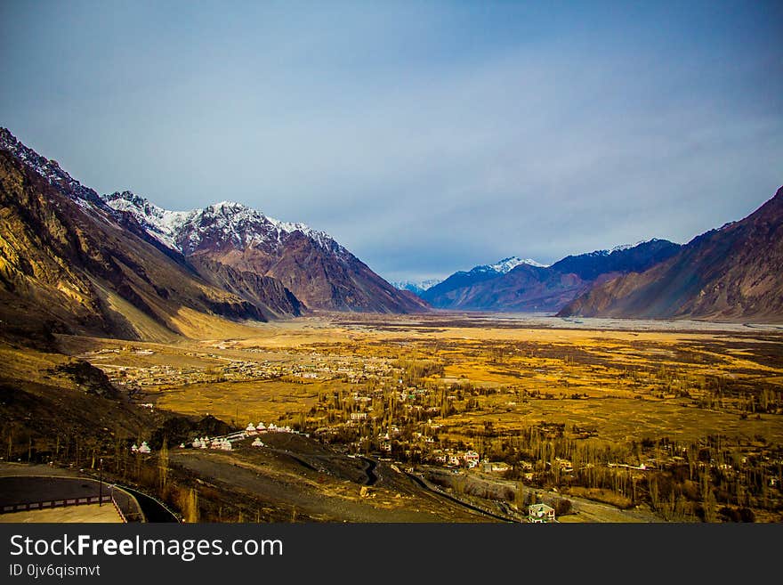 Brown Leaf Plant Near Mountain Under White Clouds at Daytime