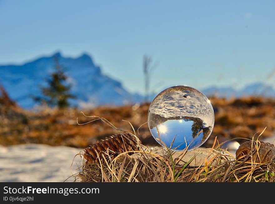 Glass Ball on Brown Nest