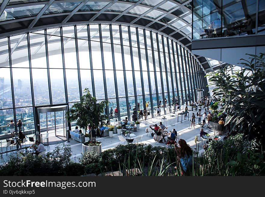 Landscape Photo of People Inside Building