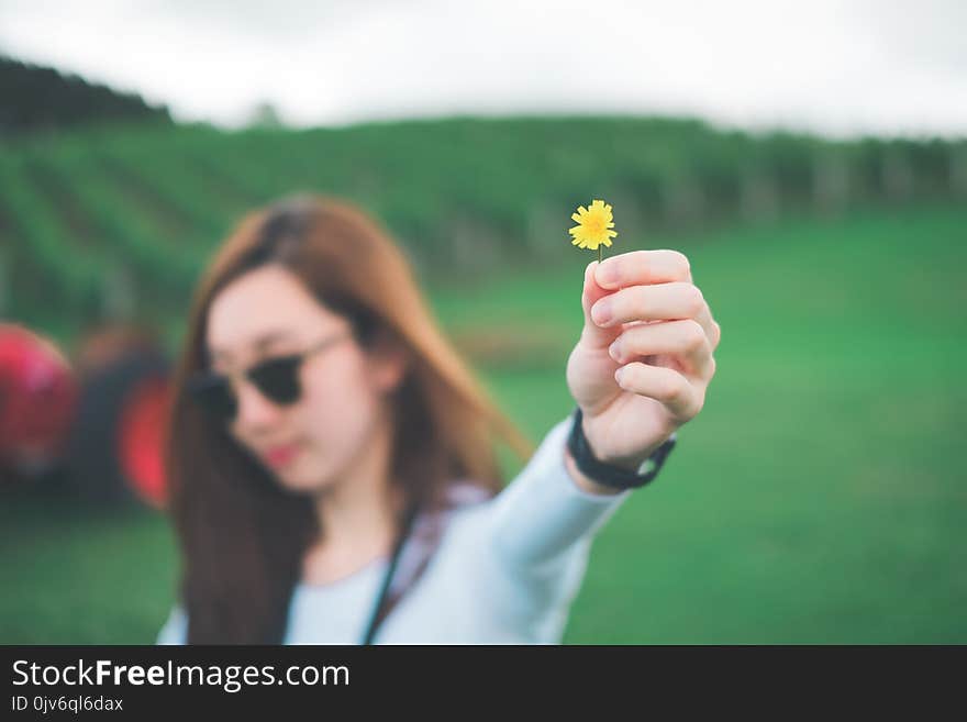 Woman Holding Yellow Petaled Flower