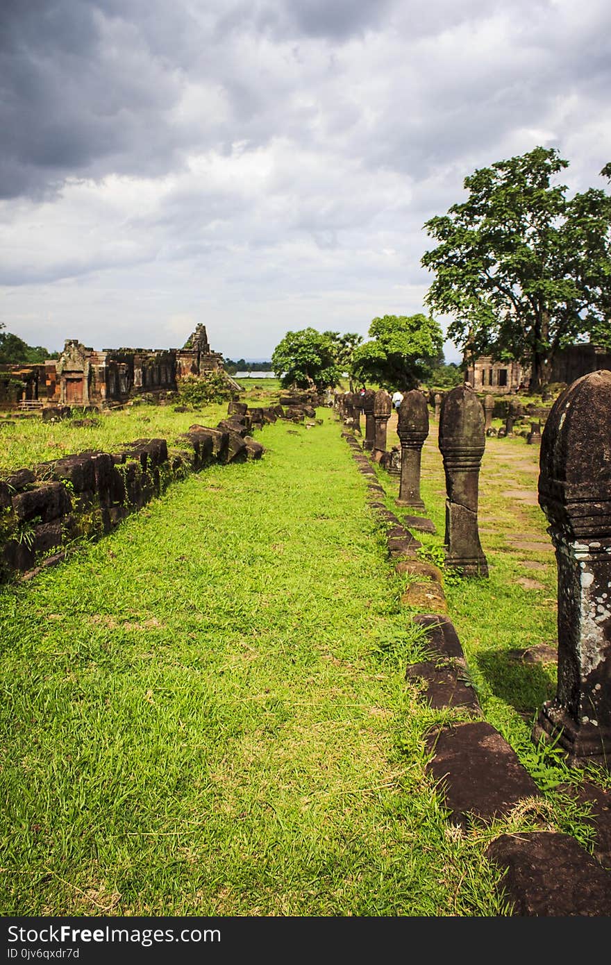 Pathway Covered With Green Grass