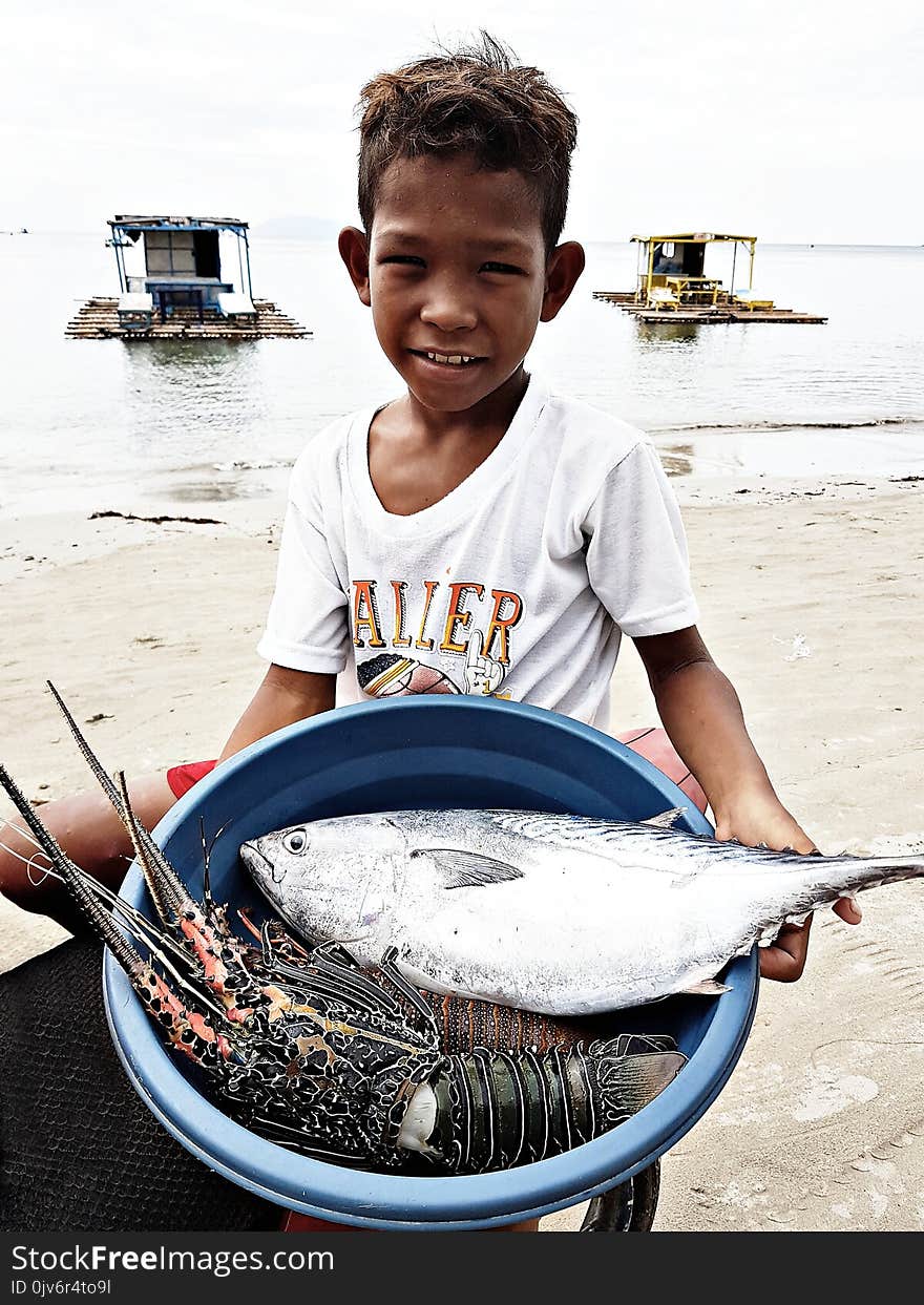 Boy Wearing White Crew-neck T-shirt Holding Blue Plastic Basin Full of Lobster and Fish