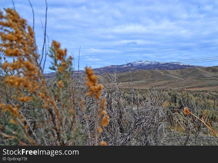 Landscape Photography of Green Mountains