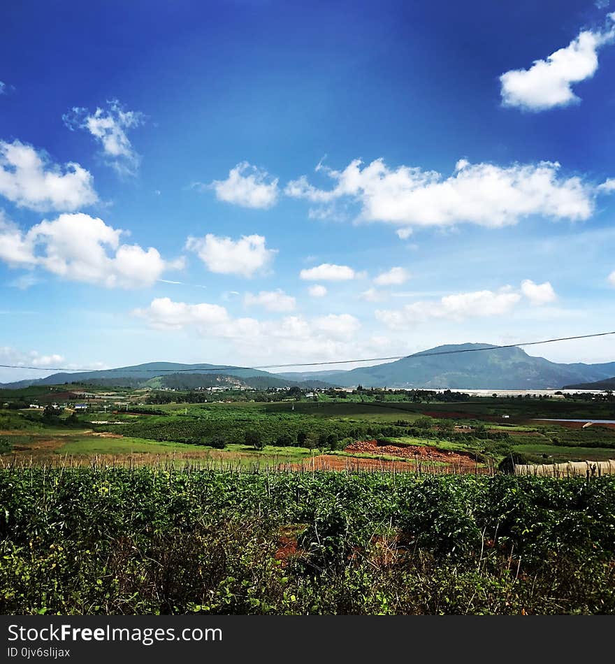 Grass Field Under Blue Sky