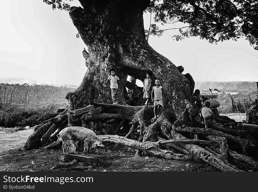 Grayscale Photography of Children Stands Near Tree