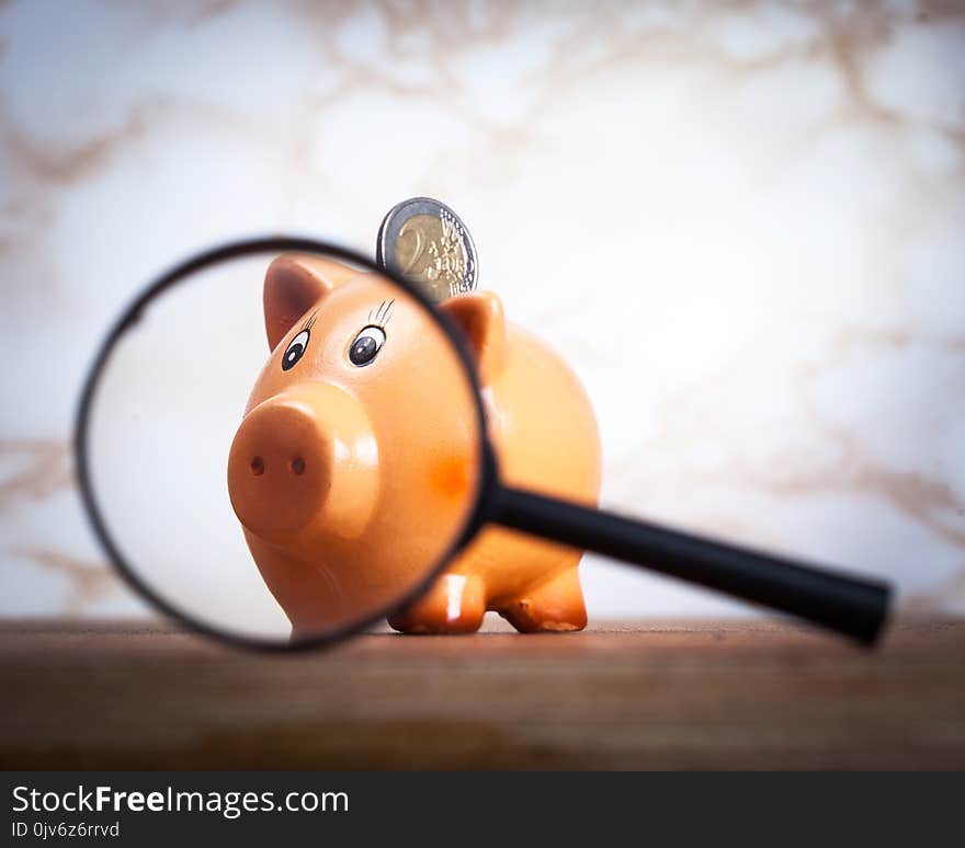 Piggy bank holding two euro coin and looking into magnifying glass. Piggy bank holding two euro coin and looking into magnifying glass