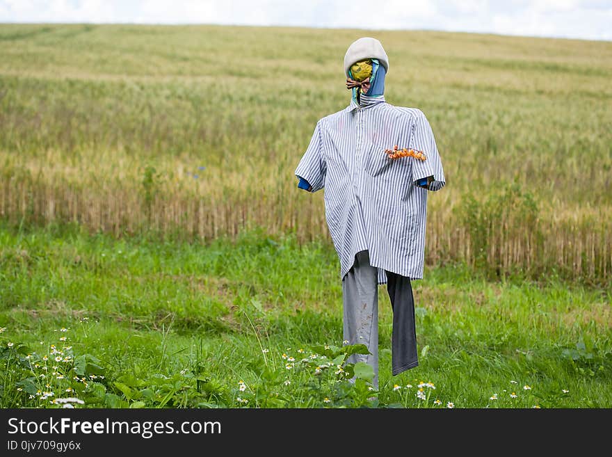 Scarecrow in man`s clothes in field