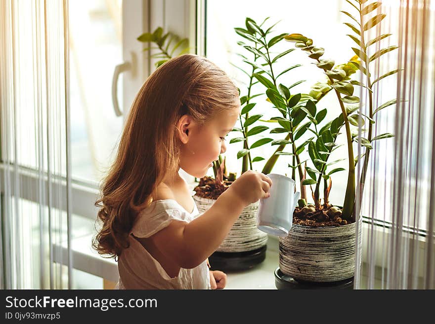 Little Girl Watering And Caring For House Plants