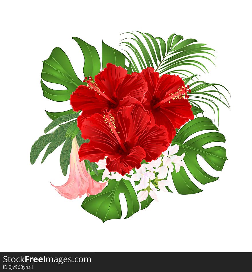 Bouquet With Tropical Flowers Floral Arrangement, With Beautiful Red Hibiscus, Palm,philodendron And Brugmansia Vintage Vector I