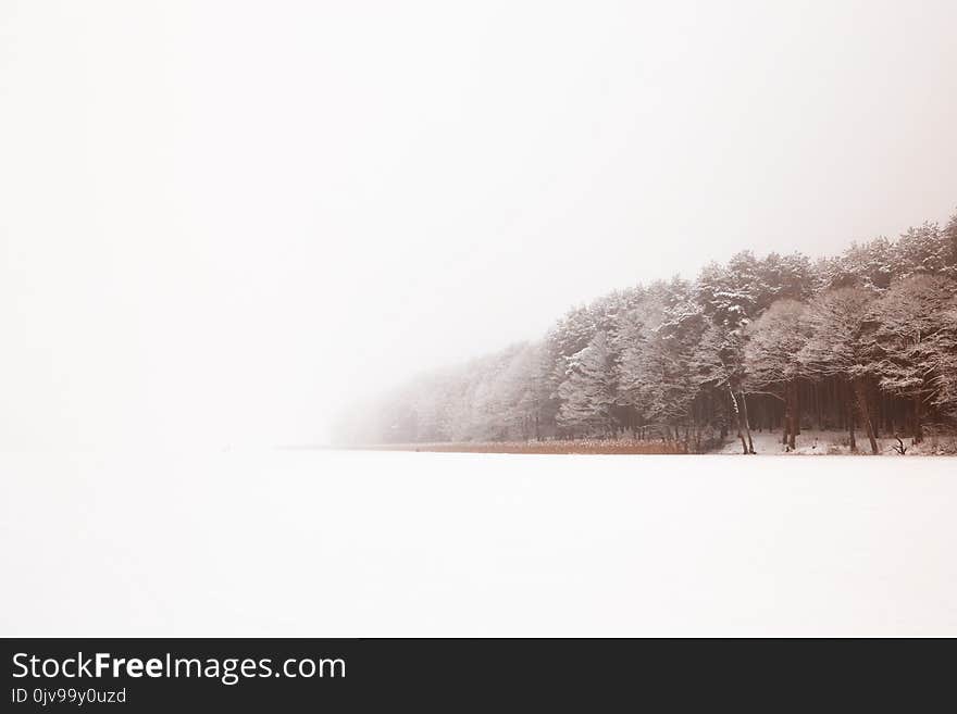 Belarus, Grodno, Snowy fairy forest around Molochnoe Lake.