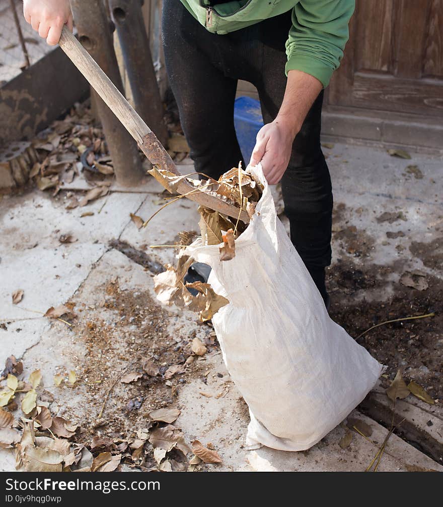 Cleaning the leaves into a bag . In the park in nature