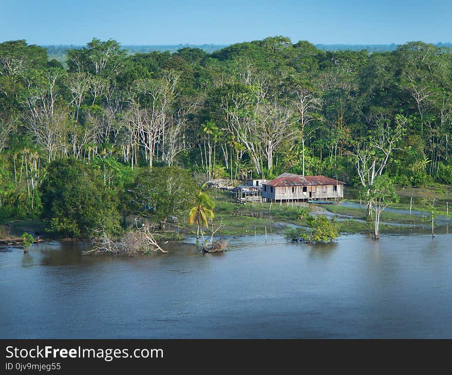 Detail from Amazon river, small wooden house in the jungle. Blue sky in the background. Detail from Amazon river, small wooden house in the jungle. Blue sky in the background.