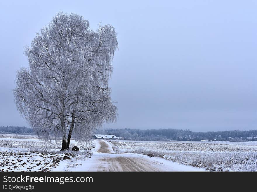 Lithuania Landscape .Rural Scene.