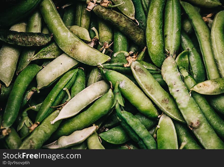 A closeup shot of a bunch of snap peas.