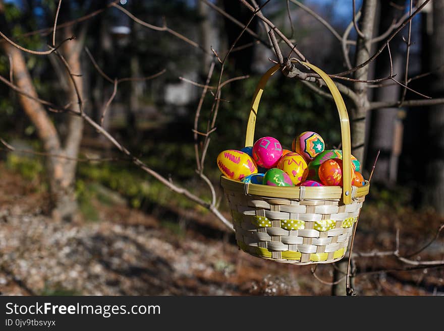 Easter basket with eggs hang on the branch