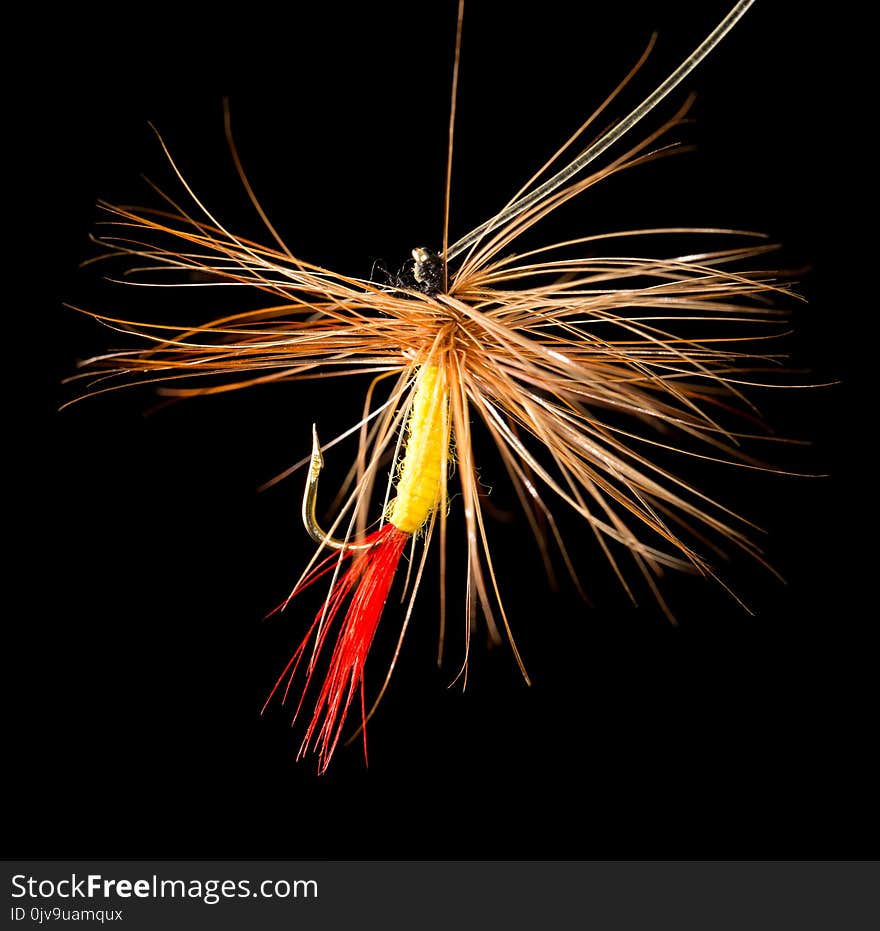 Fly to catch fish on a black background