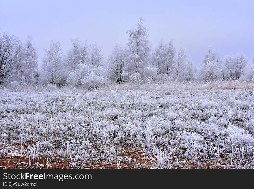 Winter in Lithuania .Rural landscape