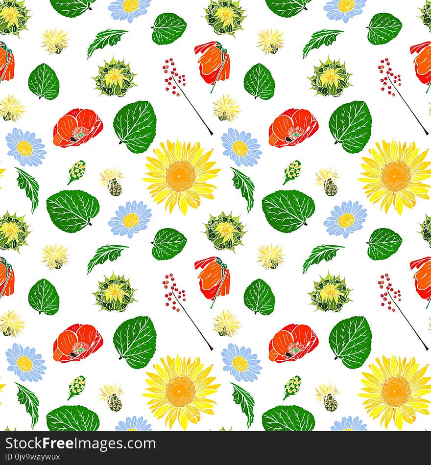 Poppy, sunflower, chamomile, green leaf and branch with berries seamless pattern isolated on white background