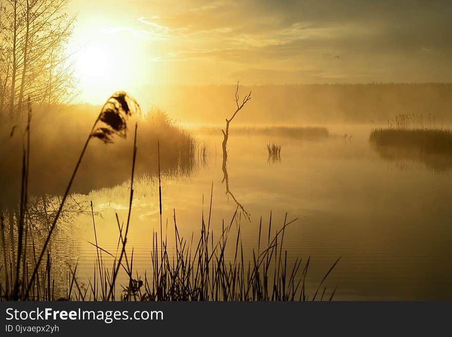 Morning mist on the lake in the sun