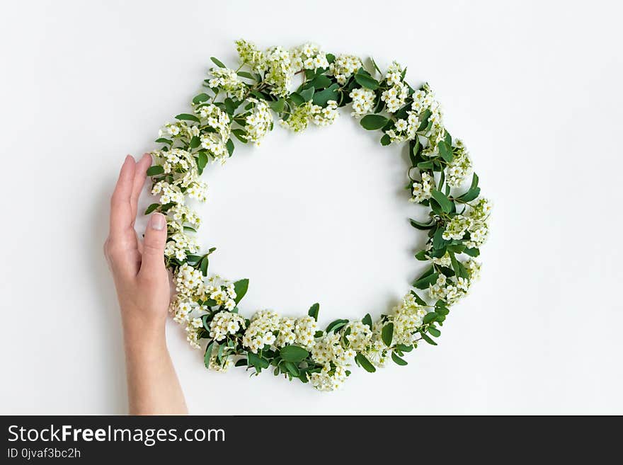 Woman hand holding flowering Spirea arguta brides plant wreath on white table. Flat lay, top view