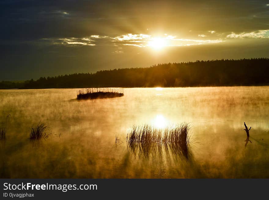 Morning mist on the lake in the sun.