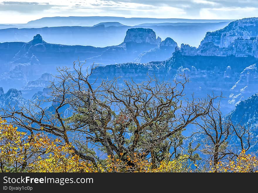 Grand Canyon, north rim