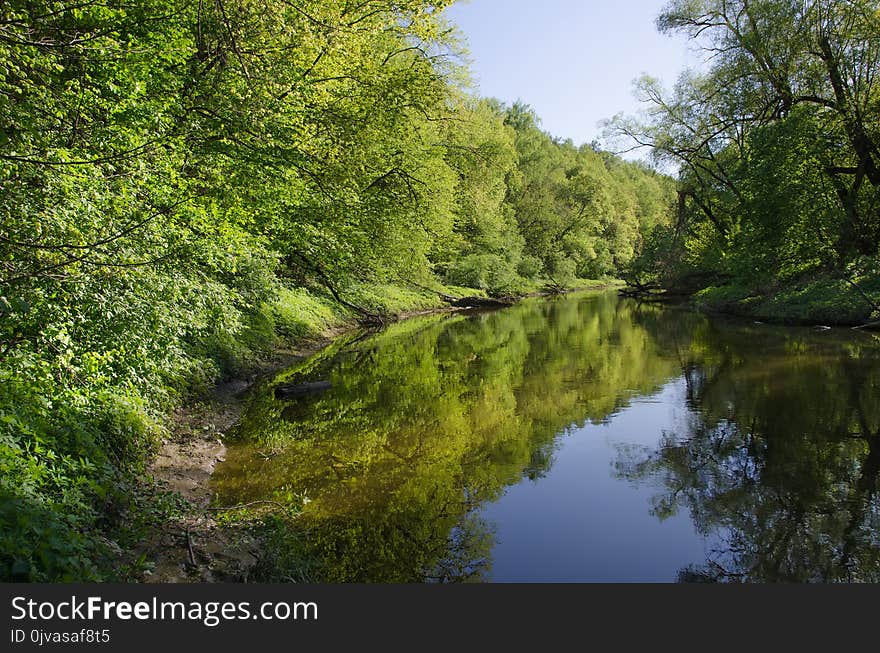 A small river with brown water, partially covered with bushes and trees.Sunlight on the leaves. A small river with brown water, partially covered with bushes and trees.Sunlight on the leaves