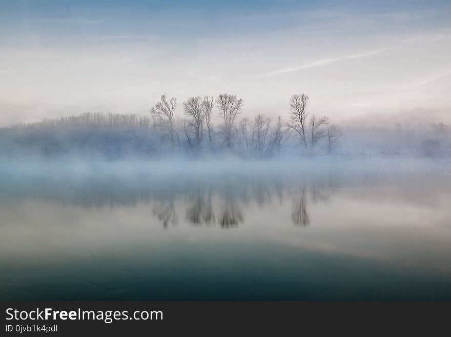 A foggy winter morning at the Danube River in Romania. The thin fog rose just above the tree tops, offering us a wonderful landscape