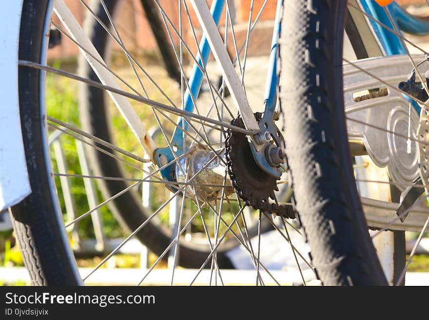 Land Vehicle, Bicycle Wheel, Bicycle, Spoke