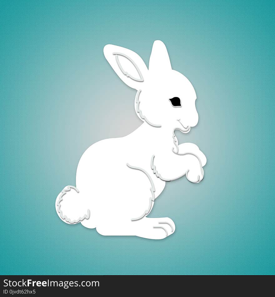 Rabbit, White, Rabits And Hares, Mammal