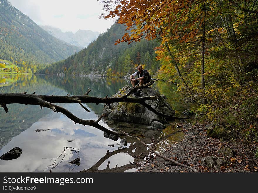 Nature, Water, Wilderness, Leaf