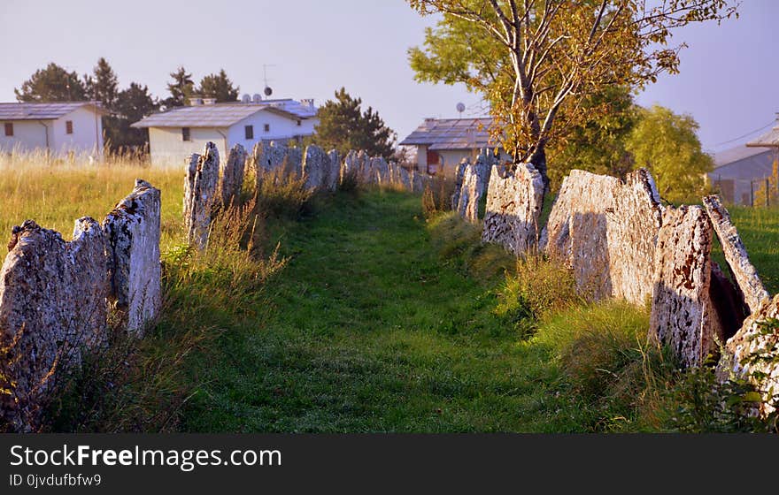 Grass, Sky, Rural Area, Ruins