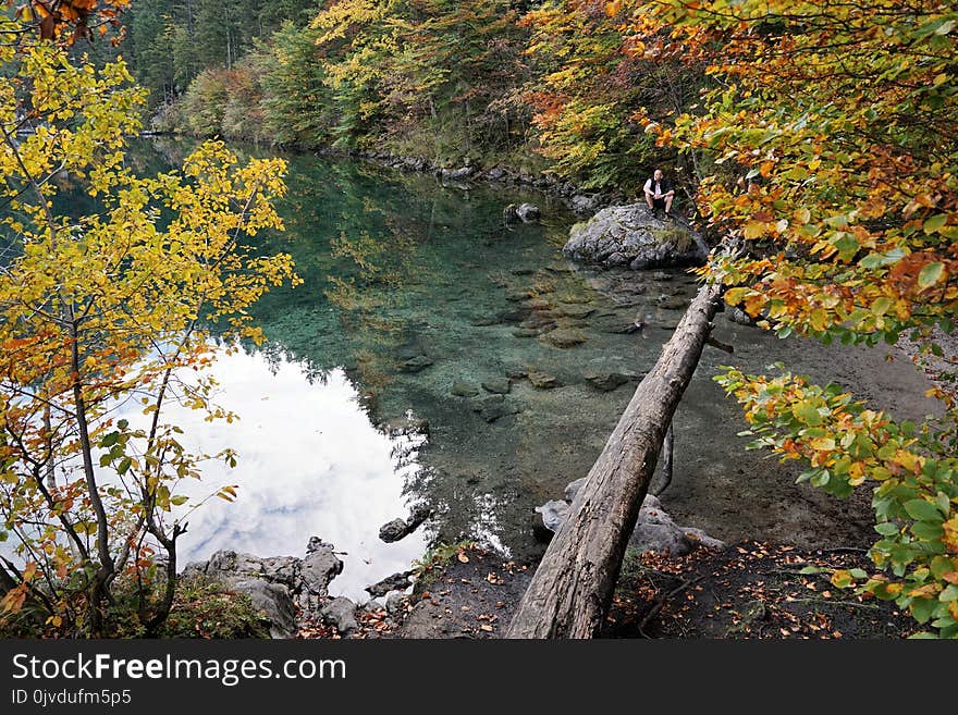 Water, Nature, Reflection, Leaf