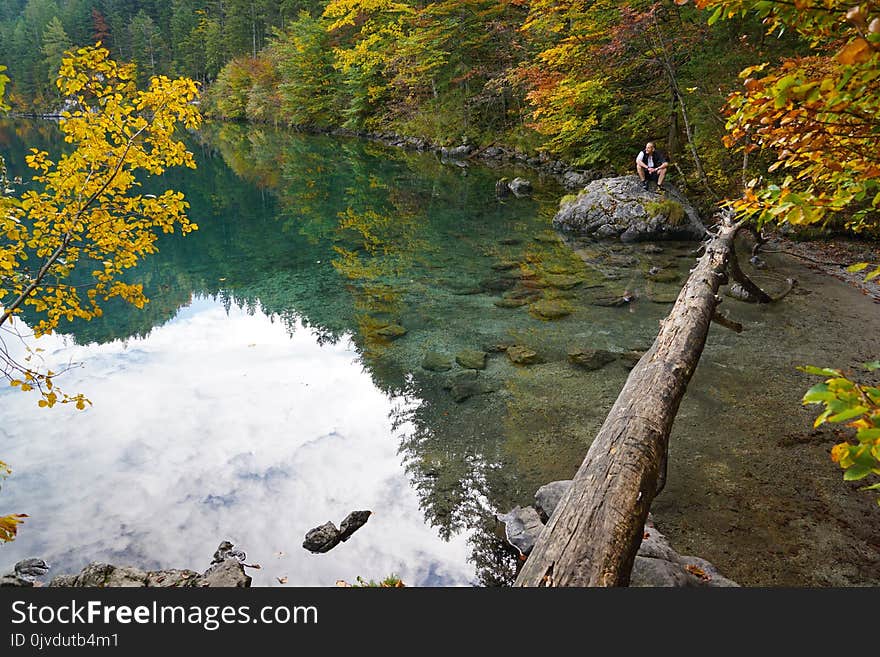 Water, Nature, Reflection, Leaf