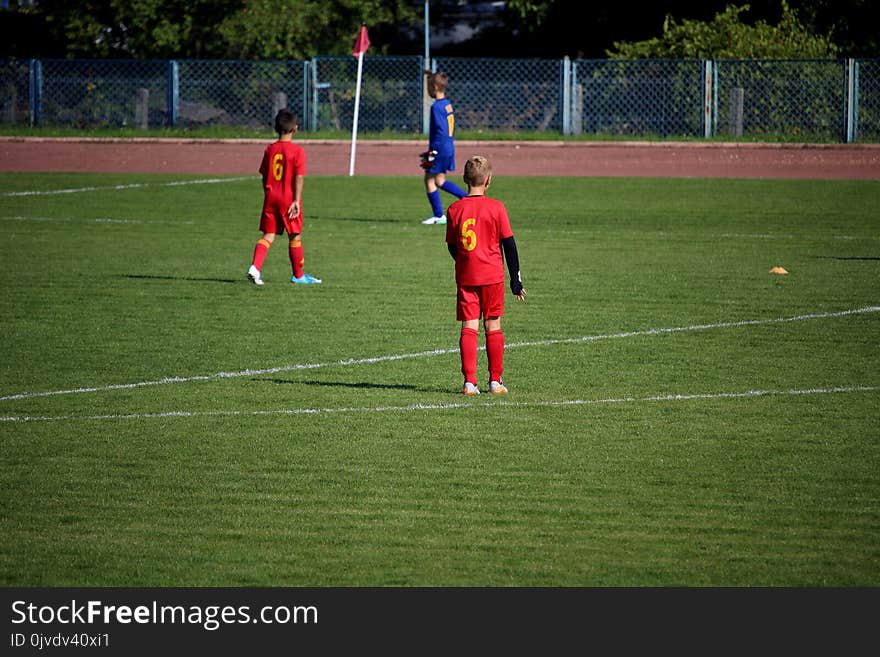 Player, Sport Venue, Sports, Football Player