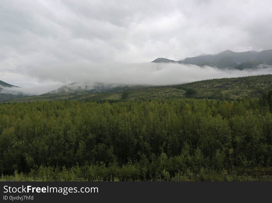 Highland, Wilderness, Ecosystem, Cloud